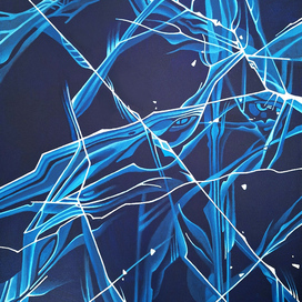 Я вижу тебя