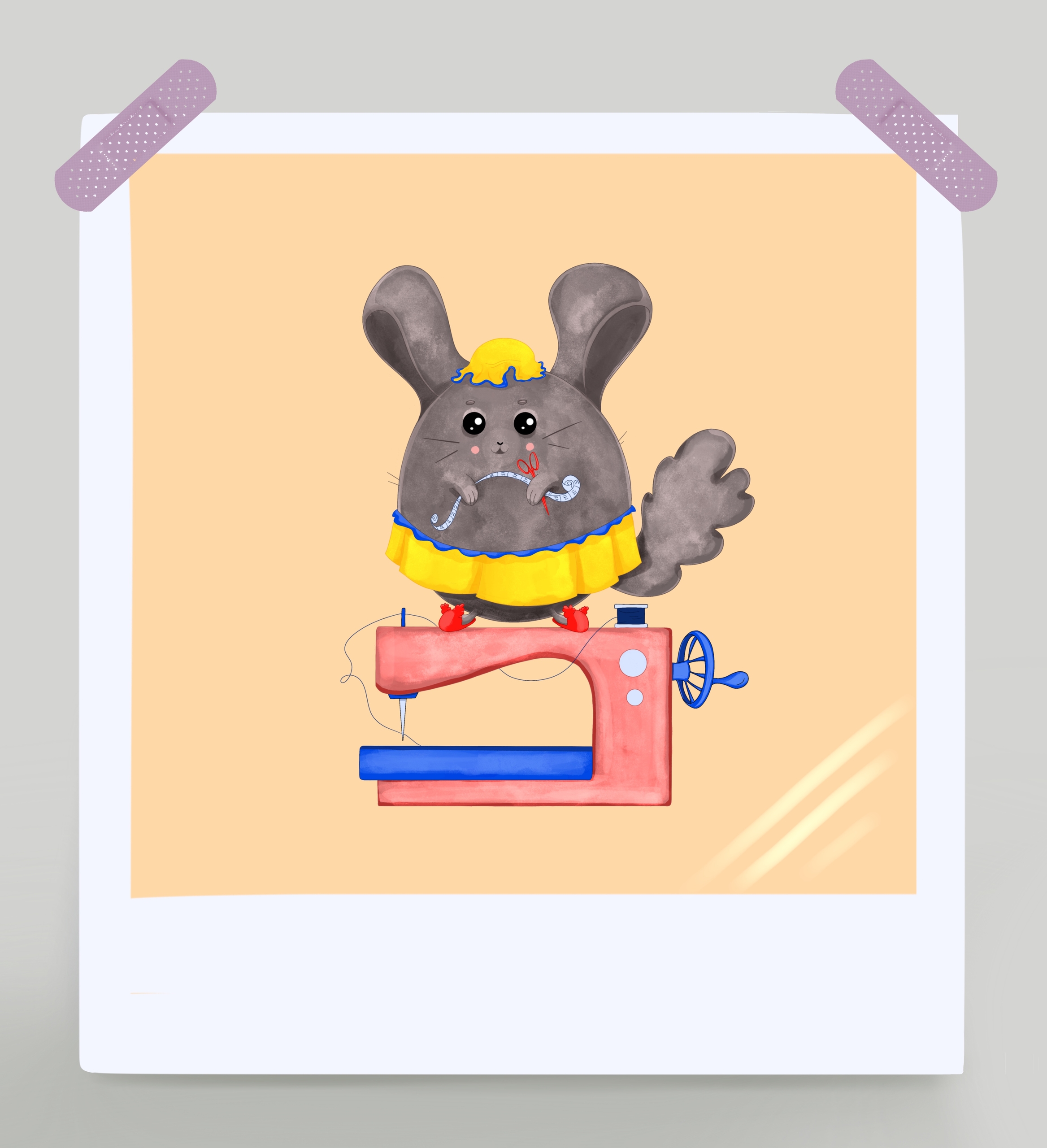 Шиншила - портная