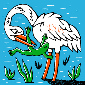 Никогда не сдавайся