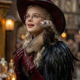 Волшебница с хорьком