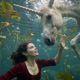 Купание с единорогом