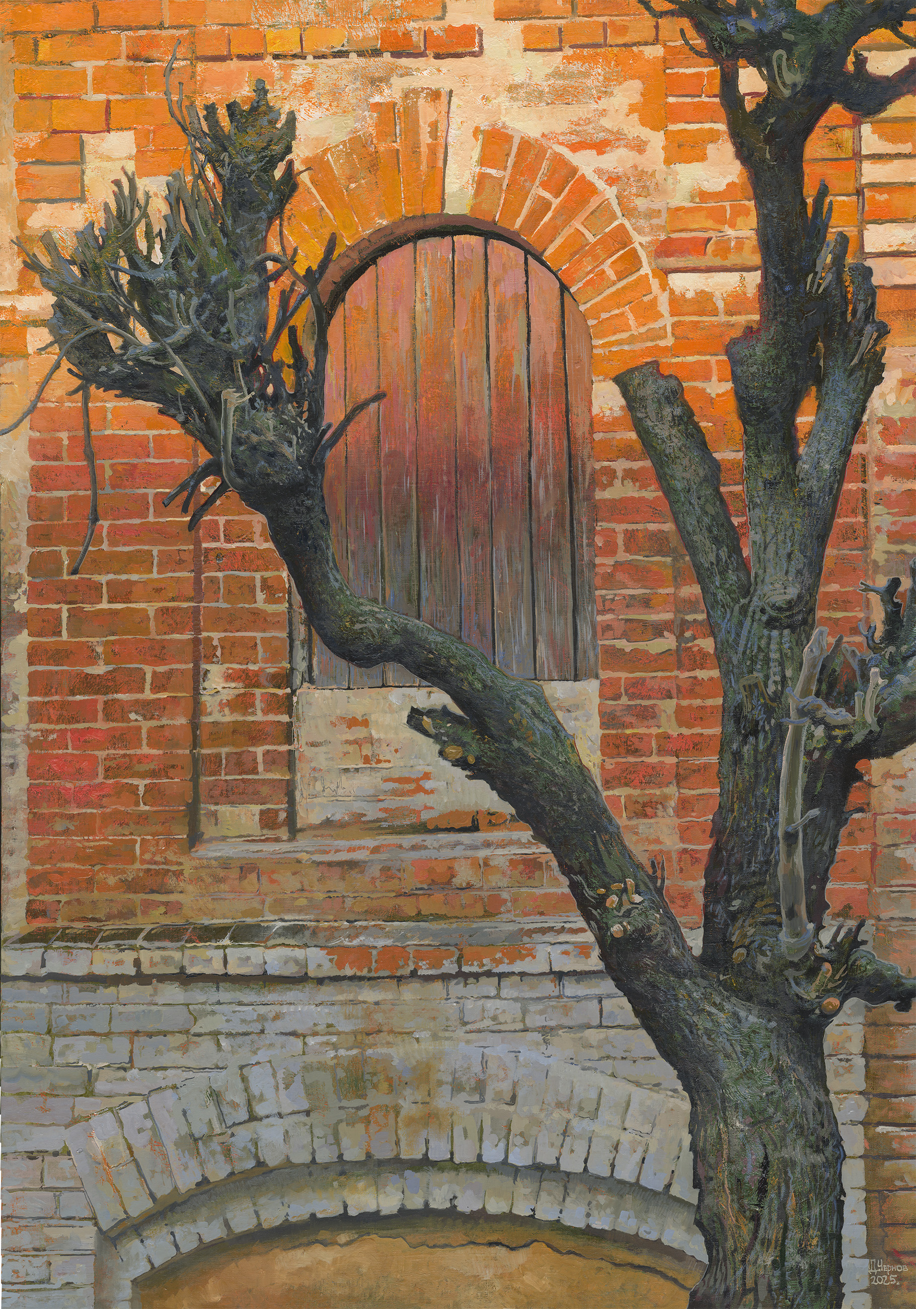 Дом на улице Павлова