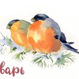 Снегири Январь Синичкин календарь