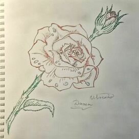 Роза, отсылка к сказке красавица и чудовище 