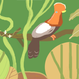 Скальный петушок - тропическая птица