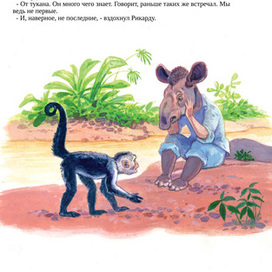 "Ягуар-гаримпейру " разворот 12