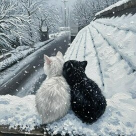 Зимние котики