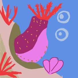 Морское яблоко. Море