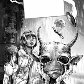 Шмуц к книге