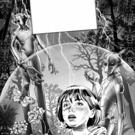 Шмуц к книге