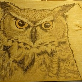 Ночной дозор