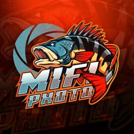 Логотип "MiFi Photo"
