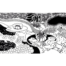 лягушкин домик