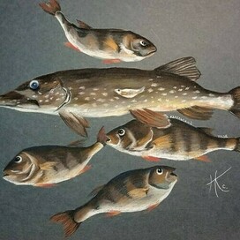 Карельский улов