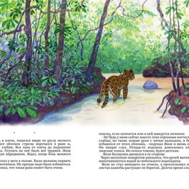 Ягуар-гаримпейру (разворот 13)