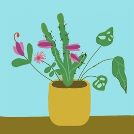 Горшок с кактусом