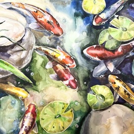 зеркальные карпы 