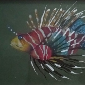 Скорпена львиная