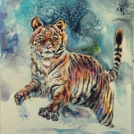 Акварельные тигр