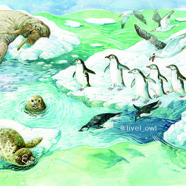 Арктика "Стихи-загадки" для малышей