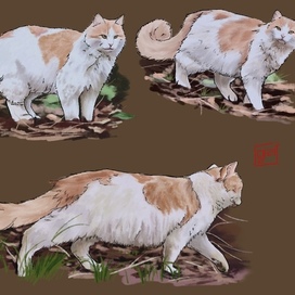 Котовьи зарисовки с натуры