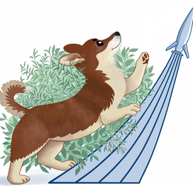 Пёс по кличке Плутон