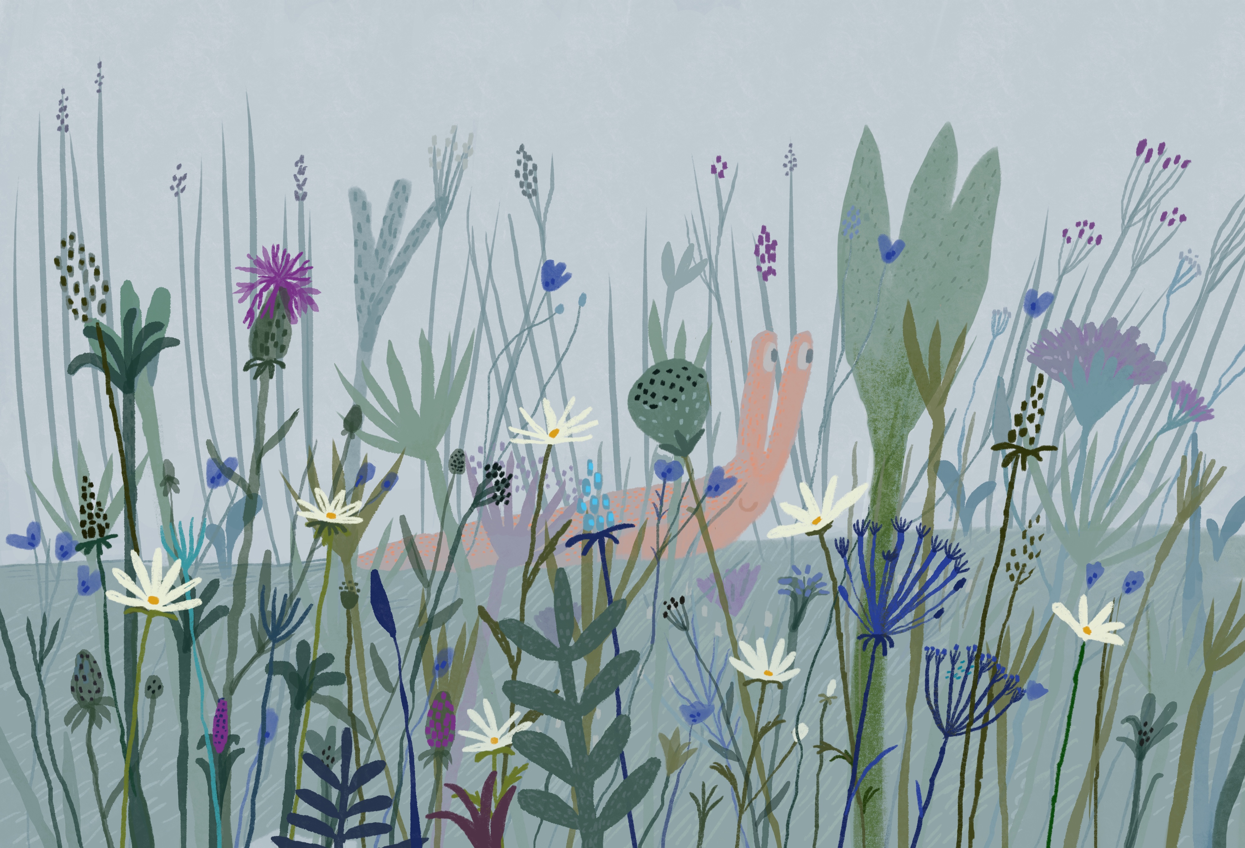 Улитка в тумане