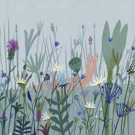 Улитка в тумане