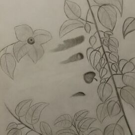 Мир метафизики 