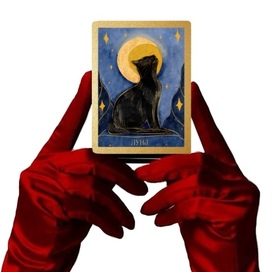 Карта ТАРО из колоды «Черно-белые кошки» 