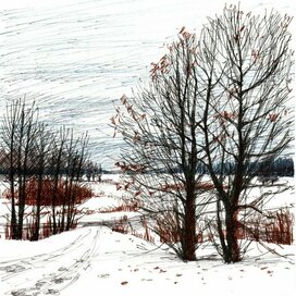 Зима в Завидово