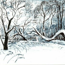 Зимняя опушка