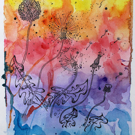 Одуванчики