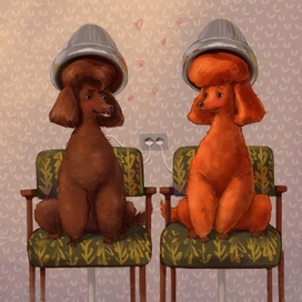 Пудели в Салоне красоты