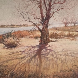 "От света к тени" 