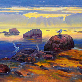 Чайки на камнях