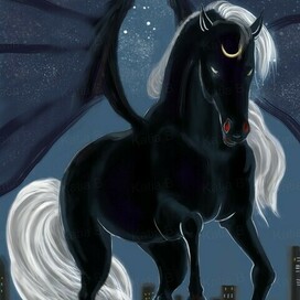 Here comes the Night