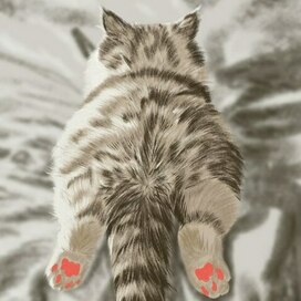 Котячество 