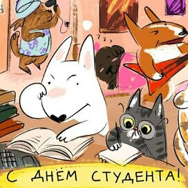 пёсий день студента