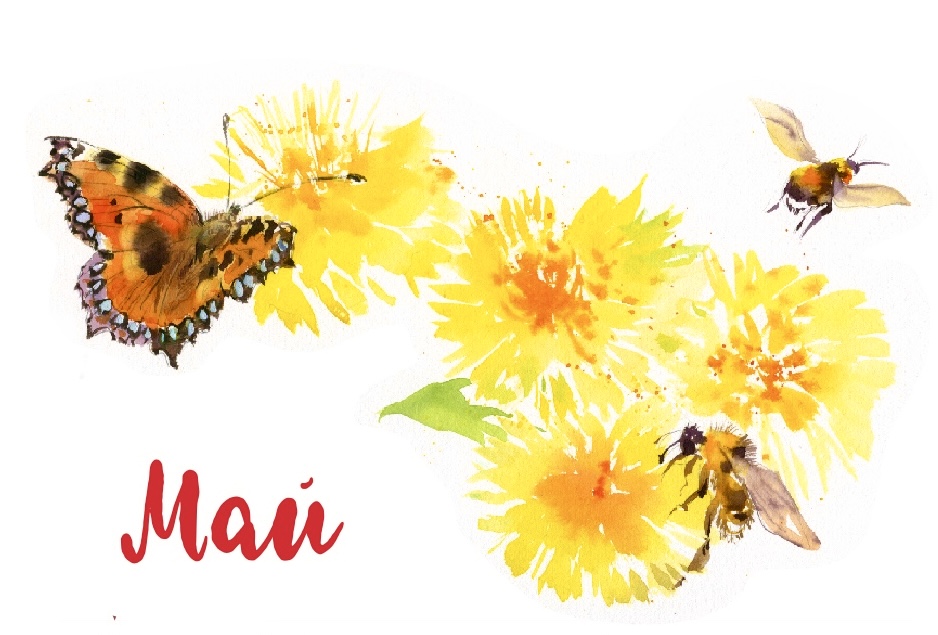 Спуск к главе МАЙ Виталий Бианки «Синичкин календарь», издательство «Речь», 2025