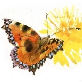 Спуск к главе МАЙ Виталий Бианки «Синичкин календарь», издательство «Речь», 2025