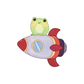 Милая лягушка, сидящая на ракете