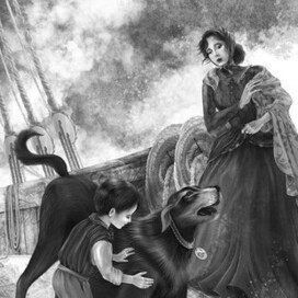 Собака Динго