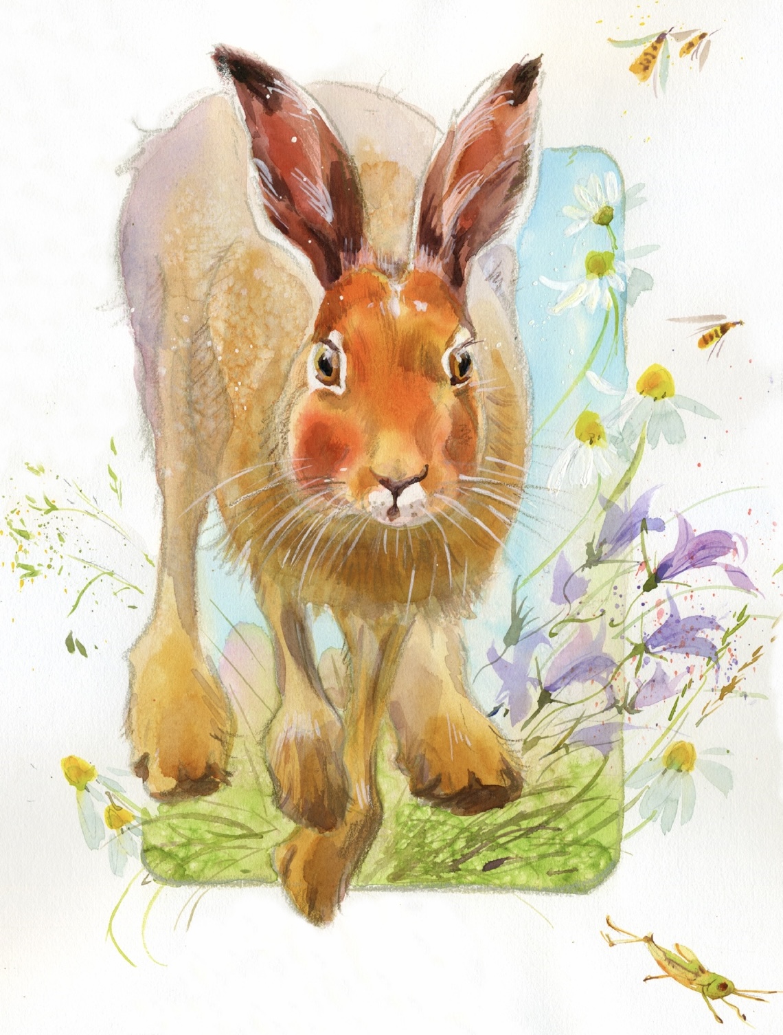 ИЮНЬ Виталий Бианки «Синичкин календарь», издательство «Речь», 2025