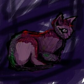 мой странный кот