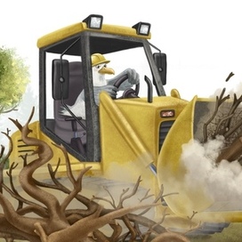 Чайка водитель бульдозера