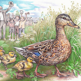 Ребята и утята