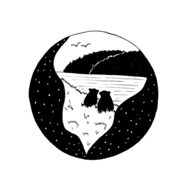 Пара медведей на берегу