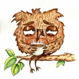 Сова с кофе