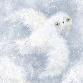 Зимняя птица